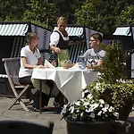 Meeressterne Damerow *