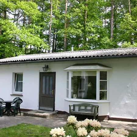 Meeressterne Damerow * Koserow