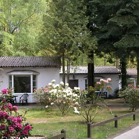 Damerow Ferienhaus Koserow