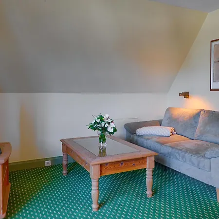 Meeressterne Damerow *