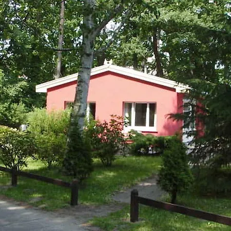 Meeressterne Damerow *