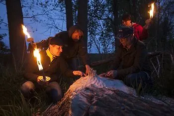 Meeressterne Damerow *