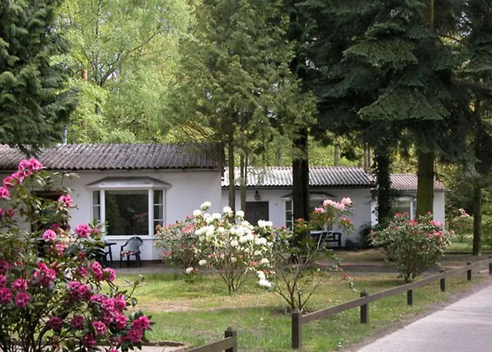 Meeressterne Damerow Dom wakacyjny Koserow