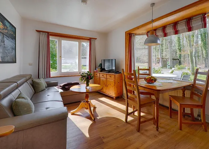 Meeressterne Damerow *