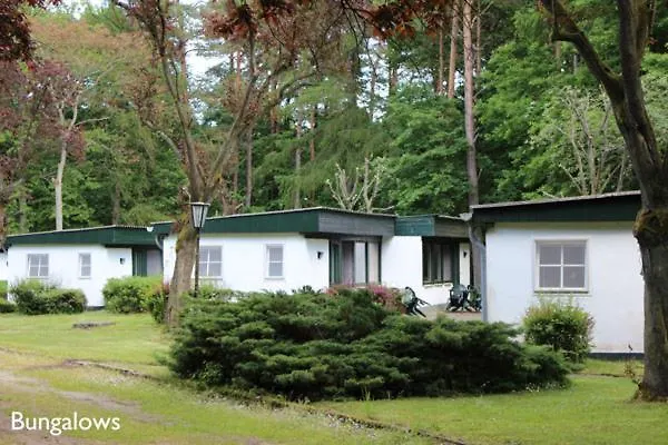 Meeressterne Damerow Dom wakacyjny Koserow