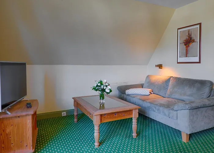 Meeressterne Damerow *