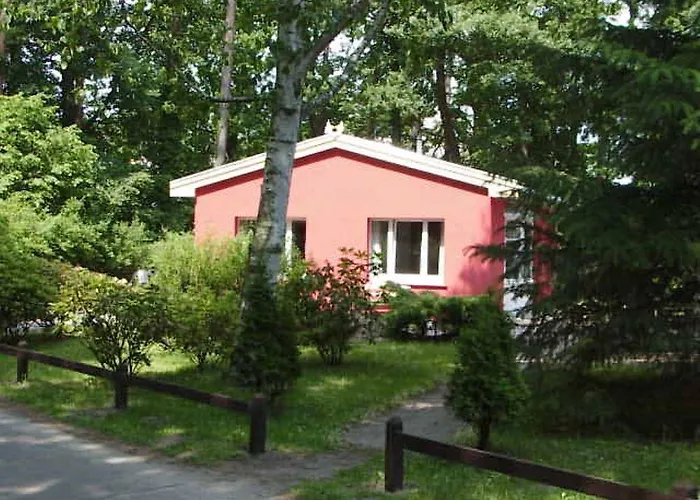 Meeressterne Damerow *