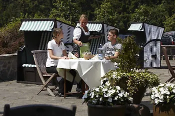 Meeressterne Damerow *